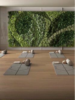 Relaxation & Meditation Zone