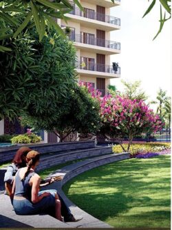 Social Community Zone